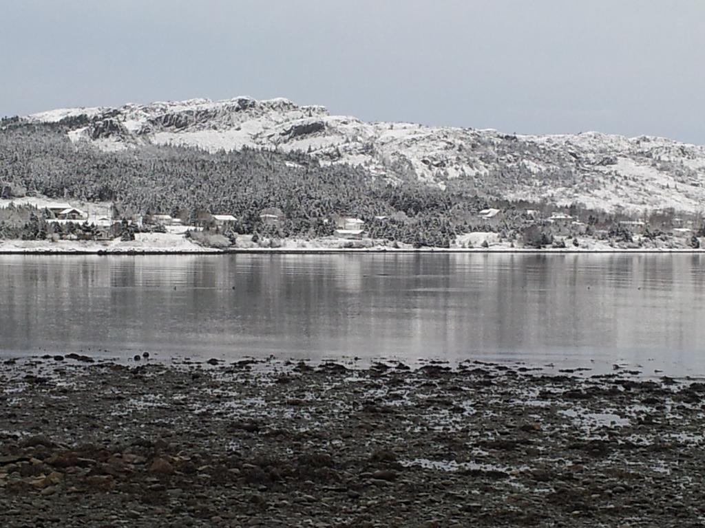 Spaniards Bay The Spaniards Room Heritage Home מראה חיצוני תמונה