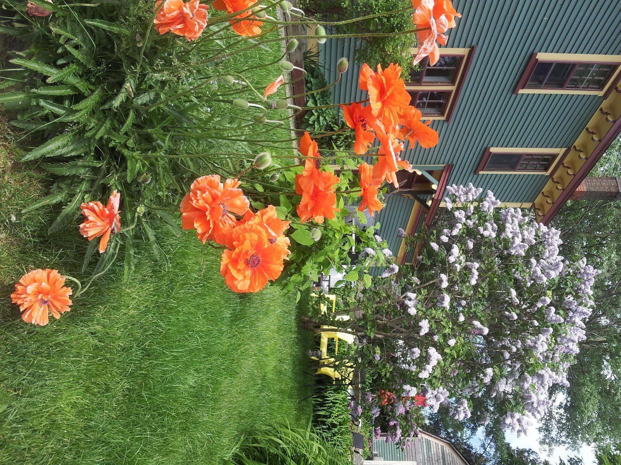 Spaniards Bay The Spaniards Room Heritage Home מראה חיצוני תמונה