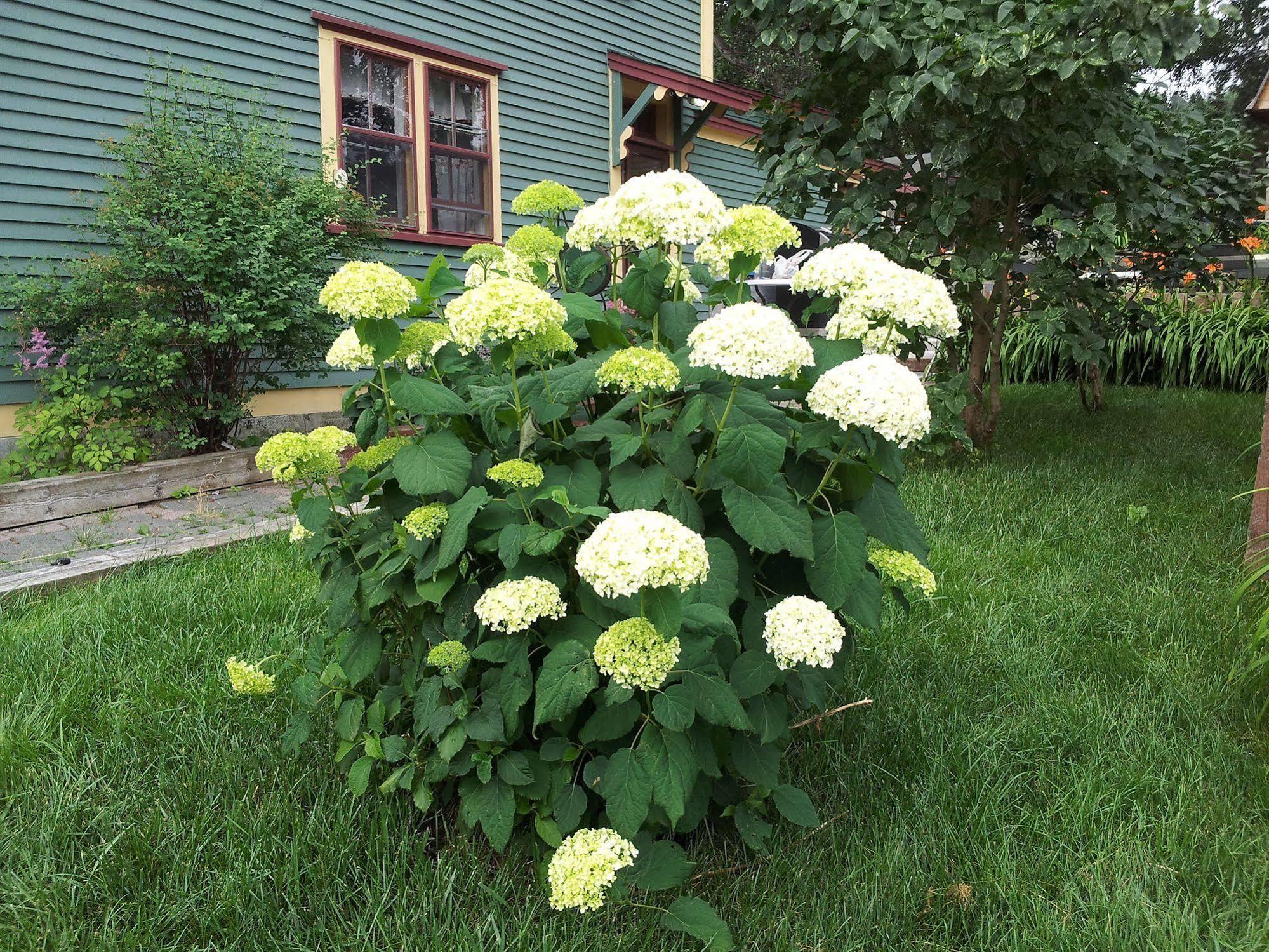 Spaniards Bay The Spaniards Room Heritage Home מראה חיצוני תמונה