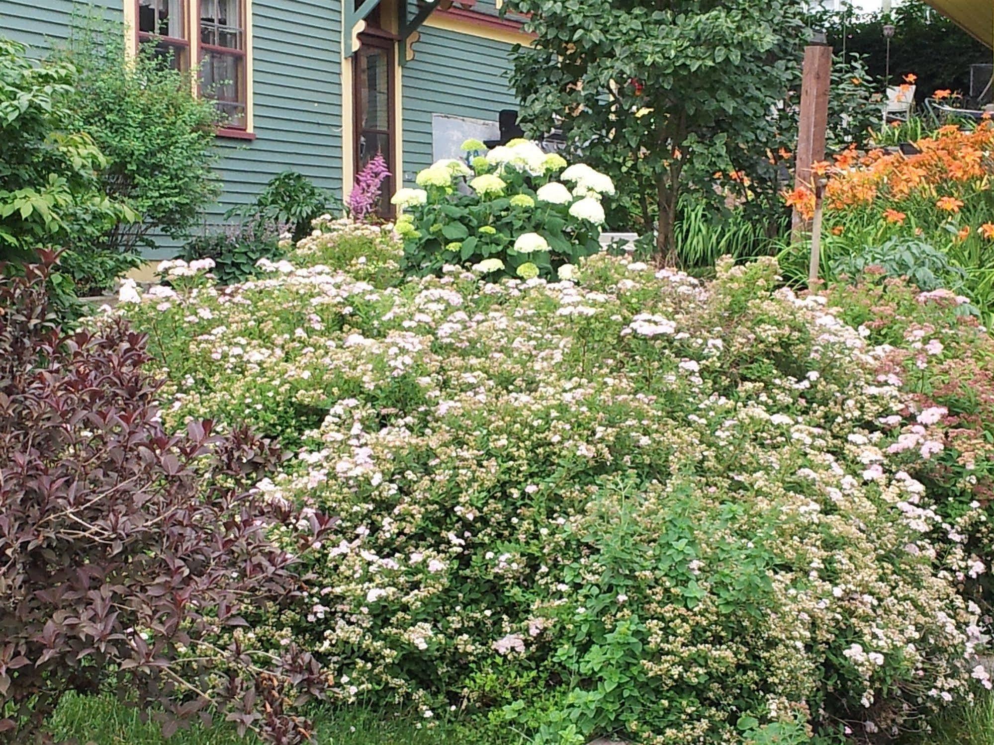 Spaniards Bay The Spaniards Room Heritage Home מראה חיצוני תמונה
